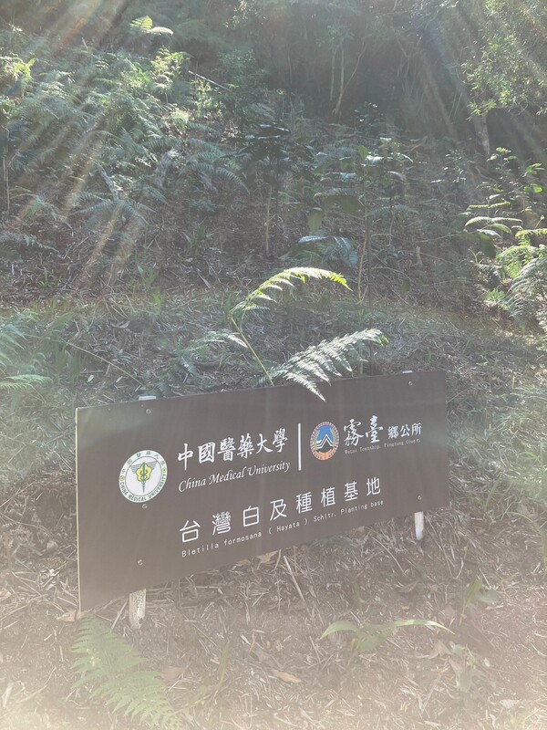 AY 2023–2024, Spring Semester Off-Campus Field Study in Wutai Township, PingtungImage