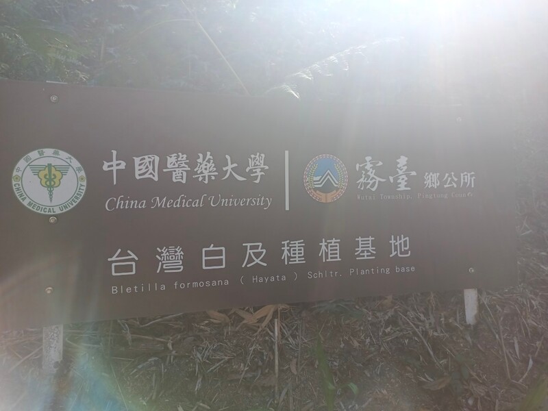 AY 2023–2024, Spring Semester Off-Campus Field Study in Wutai Township, PingtungImage