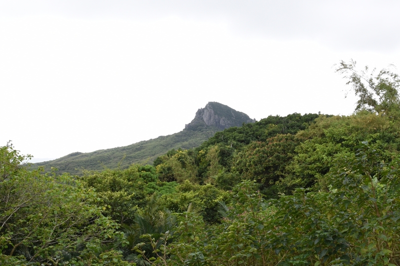 AY 2021–2022, Spring Semester Off-Campus Field Study in Pingtung (Scaro-related Sites)Image