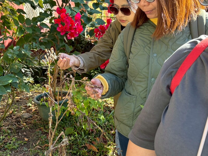 114-1 校外教學圖片