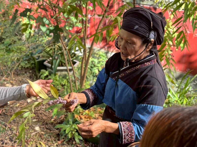 114-1 校外教學圖片