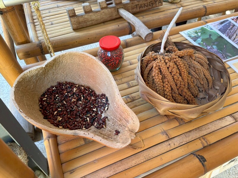 114-1 校外教學圖片