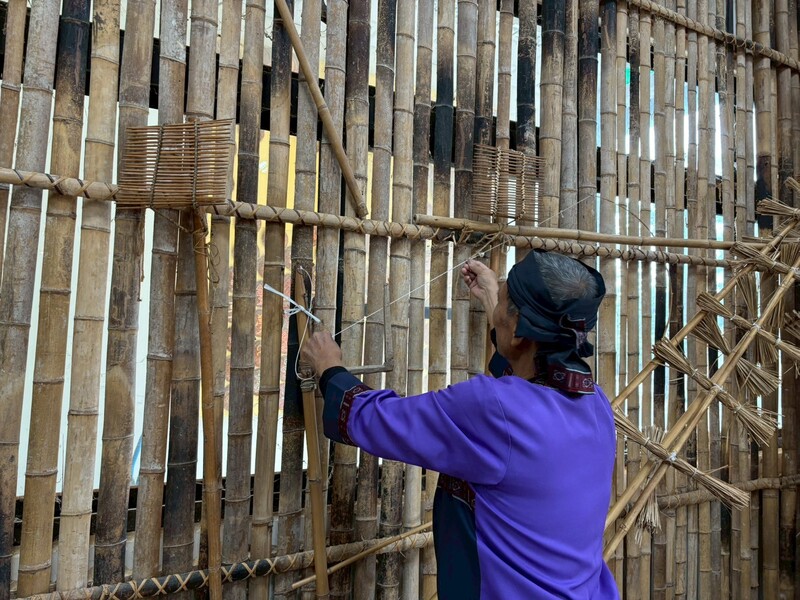 114-1 校外教學圖片