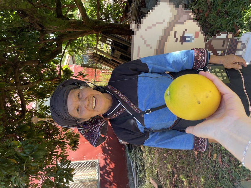 114-1 校外教學圖片