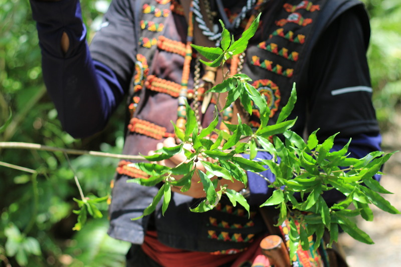 AY 2024–2025, Fall Semester Off-Campus Field Study to Dabaliu and Taromak Communities, TaitungImage