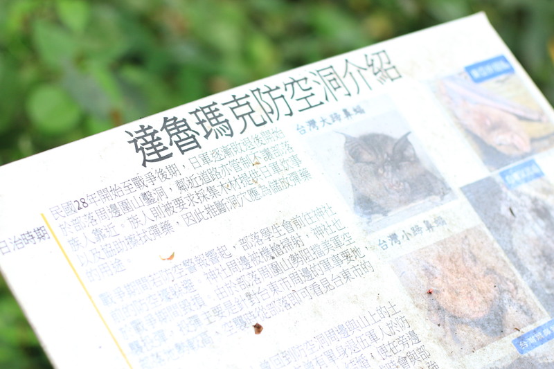 AY 2024–2025, Fall Semester Off-Campus Field Study to Dabaliu and Taromak Communities, TaitungImage