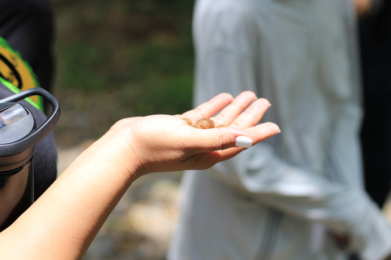 113-1 台東大巴六九、達魯瑪克部落校外教學圖片