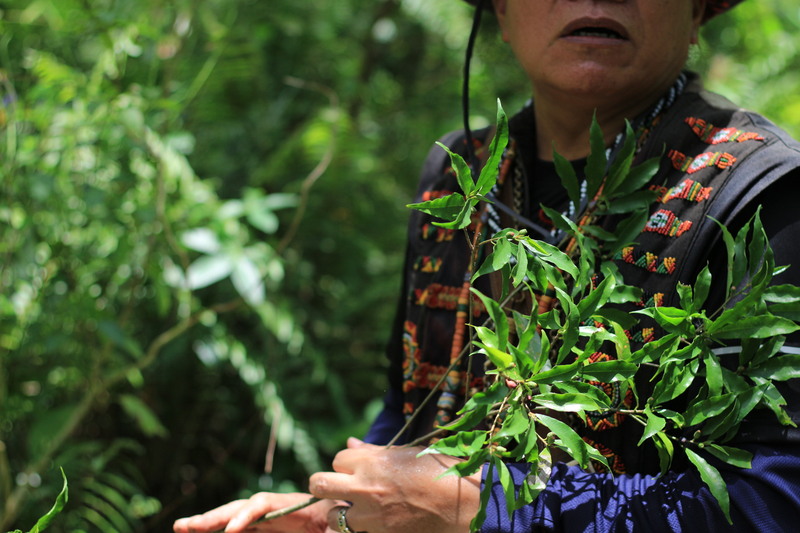 113-1 台東大巴六九、達魯瑪克部落校外教學圖片