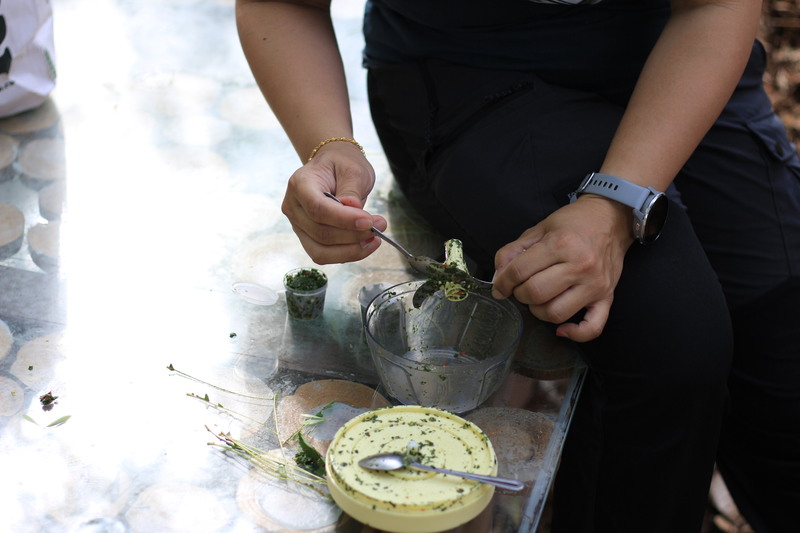 113-1 台東大巴六九、達魯瑪克部落校外教學圖片